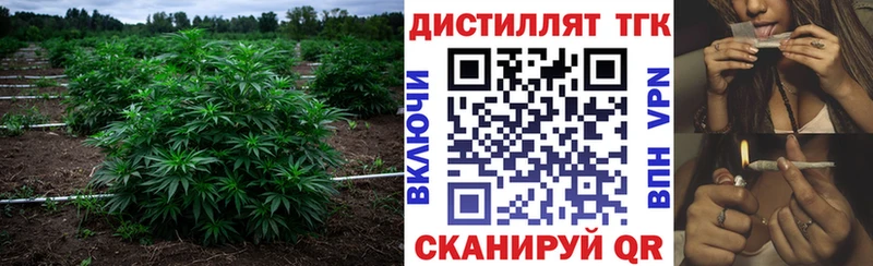 ТГК концентрат  Игарка 