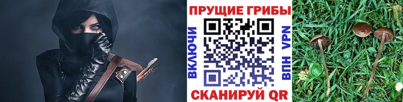 Псилоцибиновые грибы мицелий  Игарка 
